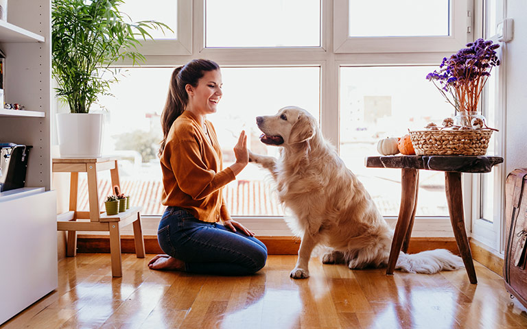 como-conciliar-a-aquestao-de-convivencia-com-os-pets-de-estimacao-em-condominios